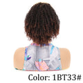 Synthetic Short Afro Kinky Ponytail