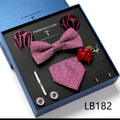 New Design Luxury Gift Necktie set for Men Silk Butterfly Bowtie Tie and Tie Clips Lapel Pin Hanky Cufflinks Set