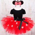 Tulle Lace Infant Party Dress