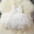 Tulle Lace Infant Party Dress