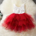 Tulle Lace Infant Party Dress